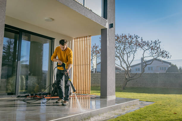 Best Soft Washing  in Parkland, WA